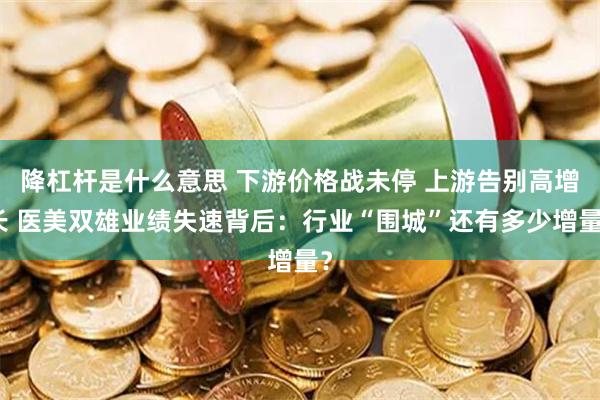 降杠杆是什么意思 下游价格战未停 上游告别高增长 医美双雄业绩失速背后：行业“围城”还有多少增量？