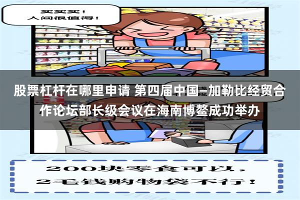 股票杠杆在哪里申请 第四届中国—加勒比经贸合作论坛部长级会议在海南博鳌成功举办
