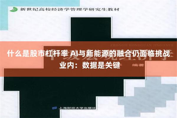 什么是股市杠杆率 AI与新能源的融合仍面临挑战 业内：数据是关键
