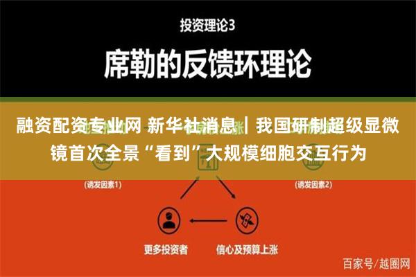 融资配资专业网 新华社消息｜我国研制超级显微镜首次全景“看到”大规模细胞交互行为