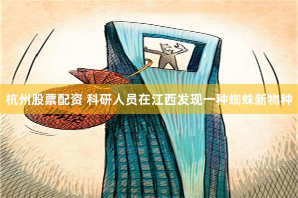 杭州股票配资 科研人员在江西发现一种蜘蛛新物种