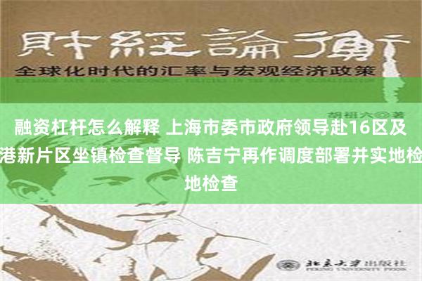 融资杠杆怎么解释 上海市委市政府领导赴16区及临港新片区坐镇检查督导 陈吉宁再作调度部署并实地检查