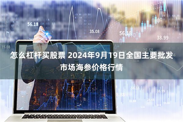 怎么杠杆买股票 2024年9月19日全国主要批发市场海参价格行情