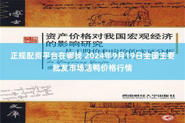 正规配资平台在哪找 2024年9月19日全国主要批发市场活鸭价格行情