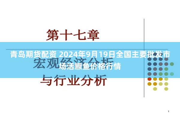 青岛期货配资 2024年9月19日全国主要批发市场活鳜鱼价格行情
