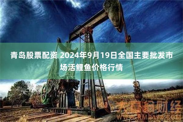 青岛股票配资 2024年9月19日全国主要批发市场活鲤鱼价格行情
