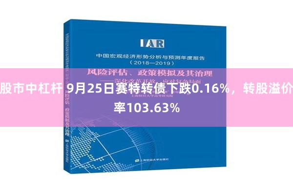 股市中杠杆 9月25日赛特转债下跌0.16%，转股溢价率103.63%