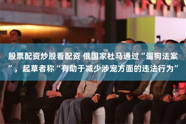 股票配资炒股看配资 俄国家杜马通过“遛狗法案”，起草者称“有助于减少涉宠方面的违法行为”