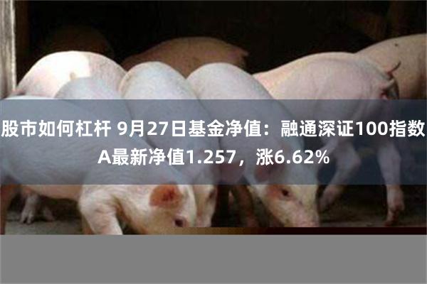 股市如何杠杆 9月27日基金净值：融通深证100指数A最新净值1.257，涨6.62%