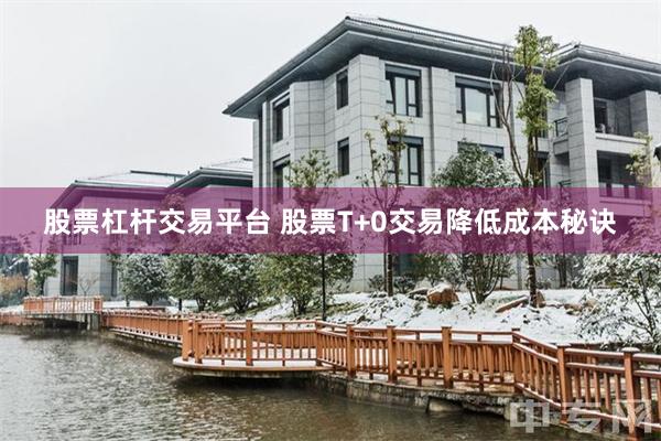 股票杠杆交易平台 股票T+0交易降低成本秘诀