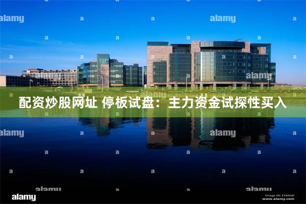 配资炒股网址 停板试盘：主力资金试探性买入