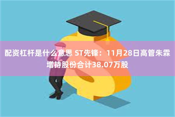 配资杠杆是什么意思 ST先锋：11月28日高管朱霖增持股份合计38.07万股