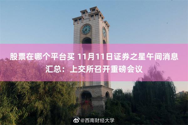 股票在哪个平台买 11月11日证券之星午间消息汇总：上交所召开重磅会议
