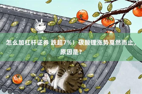 怎么加杠杆证券 跌超7%！碳酸锂涨势戛然而止，原因是？