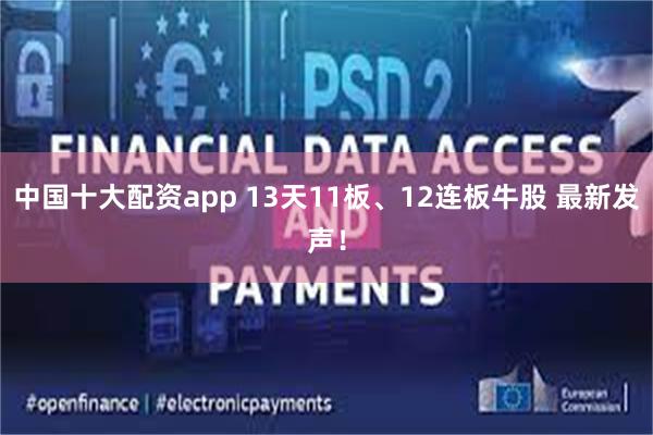 中国十大配资app 13天11板、12连板牛股 最新发声！