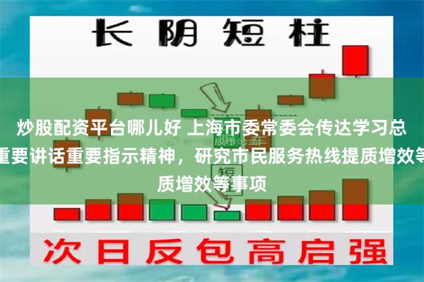 炒股配资平台哪儿好 上海市委常委会传达学习总书记重要讲话重要指示精神，研究市民服务热线提质增效等事项