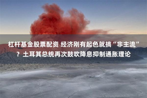 杠杆基金股票配资 经济刚有起色就搞“非主流”？土耳其总统再次鼓吹降息抑制通胀理论