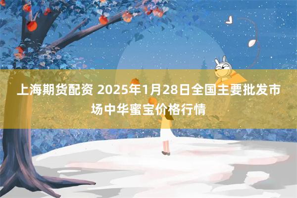 上海期货配资 2025年1月28日全国主要批发市场中华蜜宝价格行情
