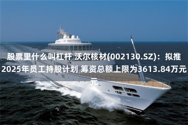股票里什么叫杠杆 沃尔核材(002130.SZ)：拟推2025年员工持股计划 筹资总额上限为3613.84万元