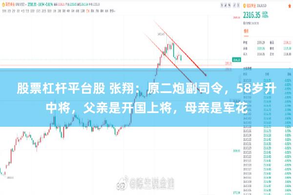 股票杠杆平台股 张翔：原二炮副司令，58岁升中将，父亲是开国上将，母亲是军花