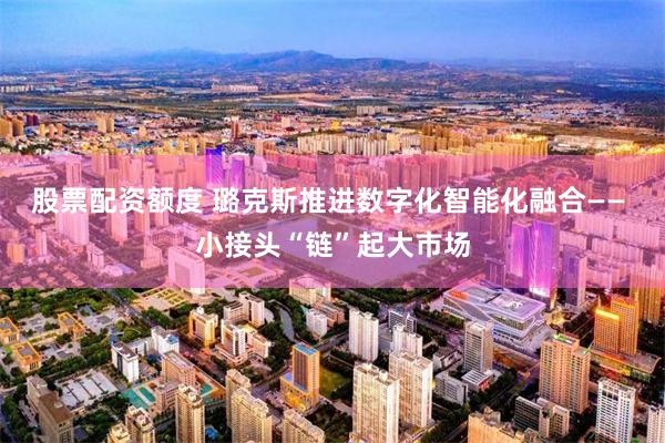 股票配资额度 璐克斯推进数字化智能化融合—— 小接头“链”起大市场