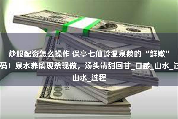 炒股配资怎么操作 保亭七仙岭温泉鹅的 “鲜嫩” 密码！泉水养鹅现杀现做，汤头清甜回甘_口感_山水_过程